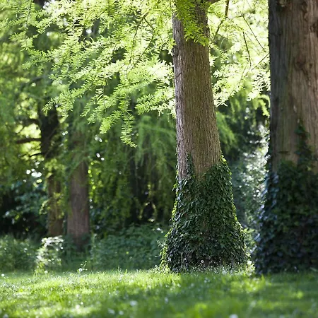 Pragatto Hills By Casino Di Pragatto