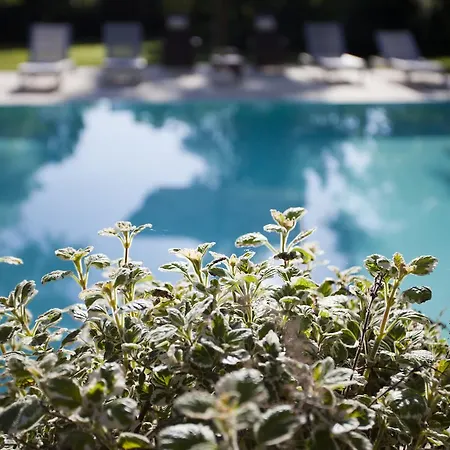 Bed & Breakfast Pragatto Hills By Casino Di Pragatto Crespellano