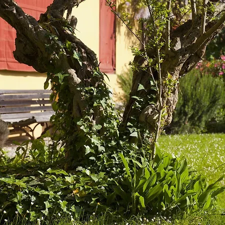 Pragatto Hills By Casino Di Pragatto 4*