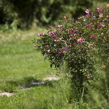 Pragatto Hills By Casino Di Pragatto Bed & Breakfast Crespellano