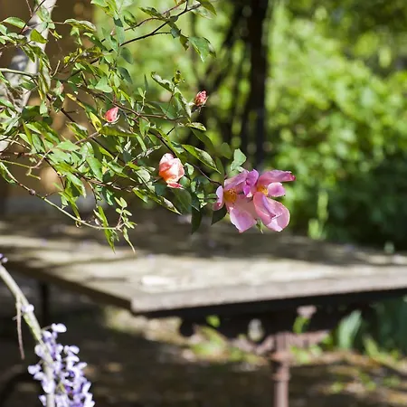 Pragatto Hills By Casino Di Pragatto