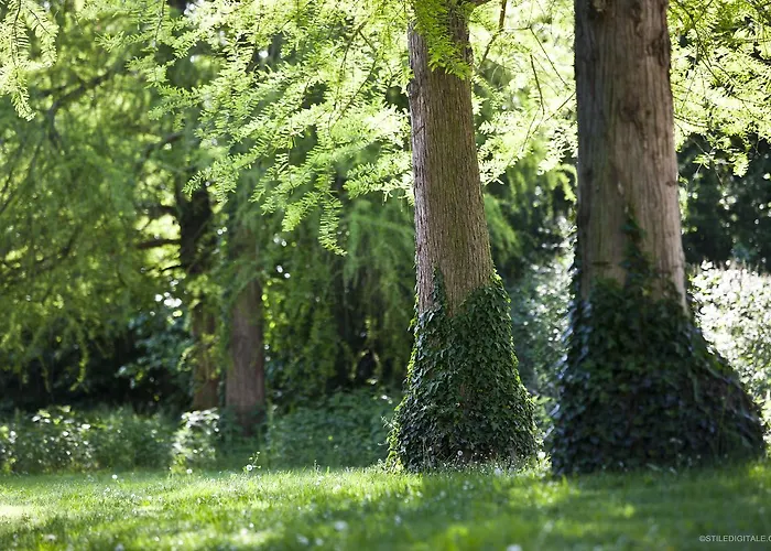 Pragatto Hills By Casino Di Pragatto