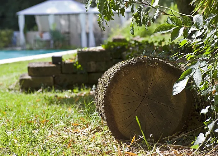 Nocleg ze śniadaniem Pragatto Hills By Casino Di Pragatto Crespellano