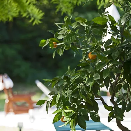 Pragatto Hills By Casino Di Pragatto 크레스펠라노