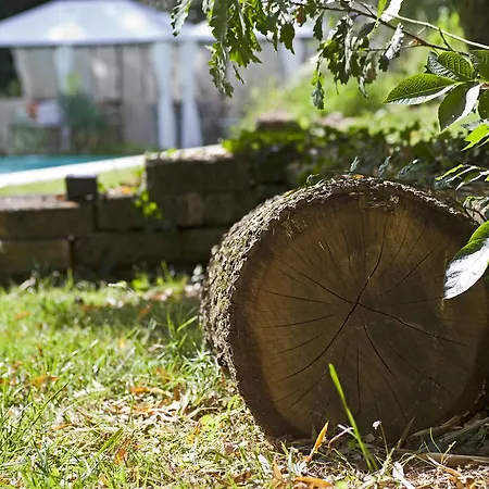 B&B Pragatto Hills By Casino Di Pragatto 크레스펠라노