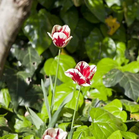 Pragatto Hills By Casino Di Pragatto 크레스펠라노