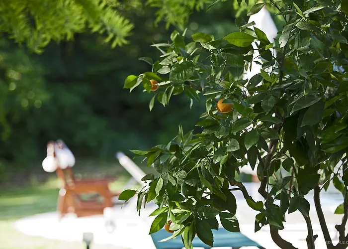 Pragatto Hills By Casino Di Pragatto Crespellano