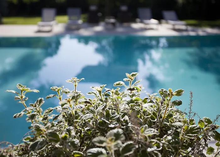 Bed & Breakfast Pragatto Hills By Casino Di Pragatto Crespellano