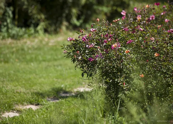 Pragatto Hills By Casino Di Pragatto Bed & Breakfast Crespellano