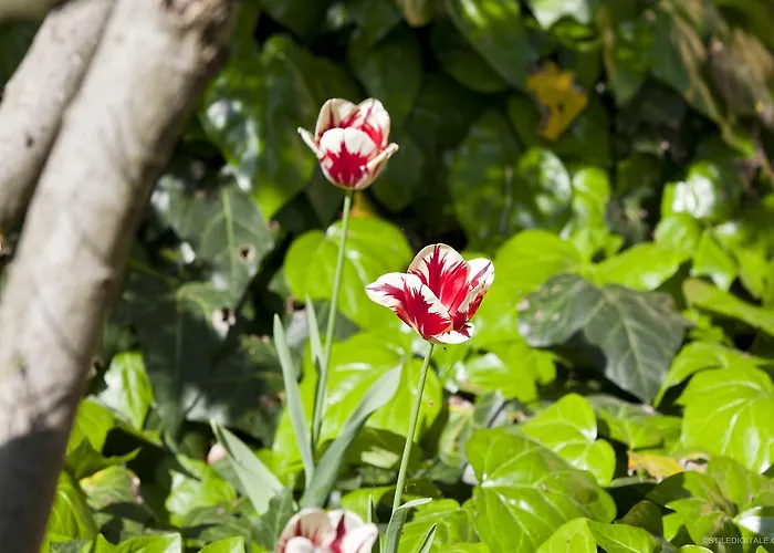 Pragatto Hills By Casino Di Pragatto Креспеллано